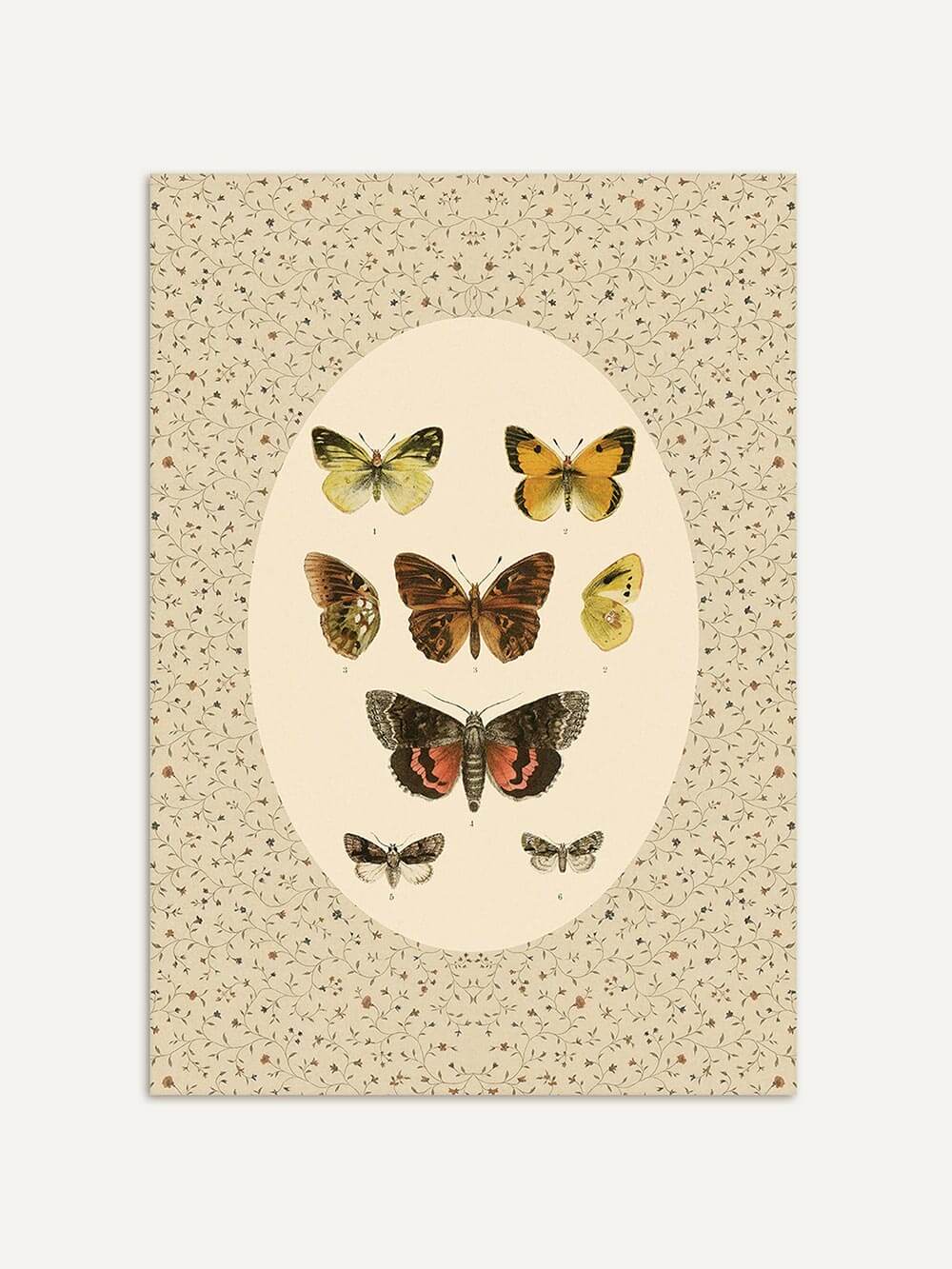 Botanischer Kunstdruck mit verschiedenen Schmetterlingsarten auf hell-cremefarbenem Hintergrund. Der ovale Bildausschnitt ist von einem feinen floralen Muster eingerahmt.
