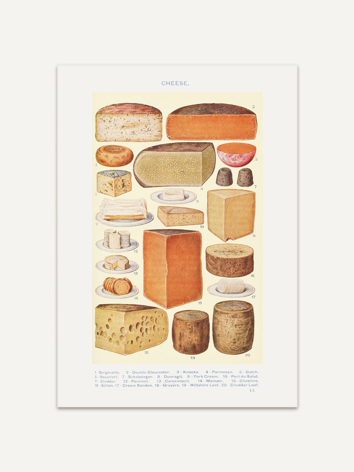 Vintage-Poster mit einer detaillierten Illustration verschiedener Käsesorten, darunter Gorgonzola, Parmesan, Camembert und Cheddar. Die Abbildung stammt aus Mrs. Beeton's 1923 "Book of Household Management" und zeigt Käse in unterschiedlichen Formen und Größen auf einer hellen Hintergrundfläche. #Rahmen_Ohne Rahmen