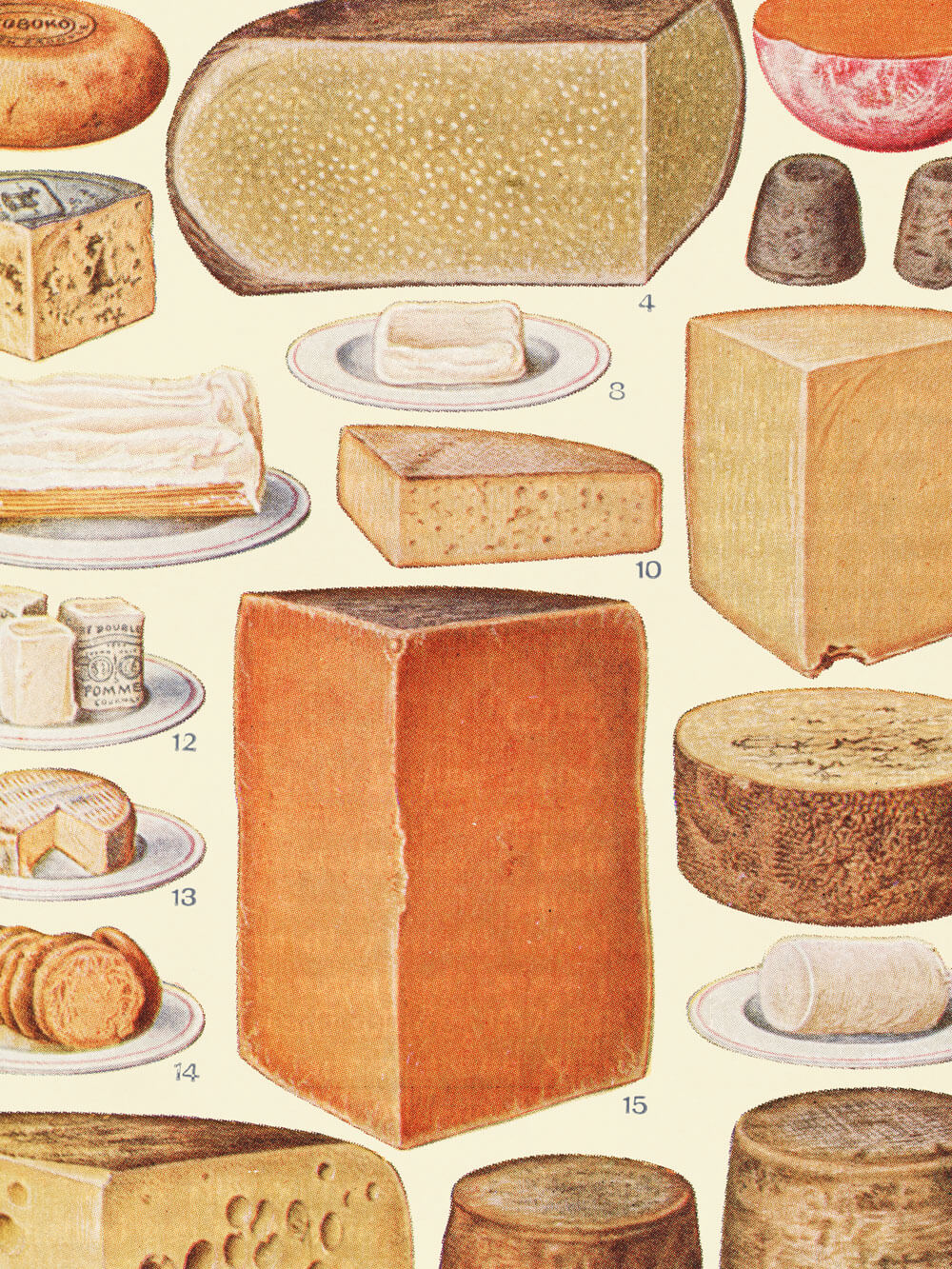 Nahaufnahme eines Vintage-Posters mit einer detaillierten Illustration verschiedener Käsesorten, darunter große rechteckige und runde Käseblöcke sowie kleinere Käseportionen auf Tellern. Die Zeichnung stammt aus einem historischen Haushaltsratgeber von 1923.