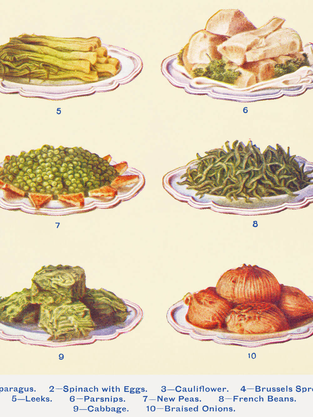 Detailansicht eines Vintage-Gemüsedrucks aus den 1920er Jahren mit Illustrationen von Lauch, Pastinaken, Erbsen, Bohnen, Kohl und gedünsteten Zwiebeln auf Tellern.