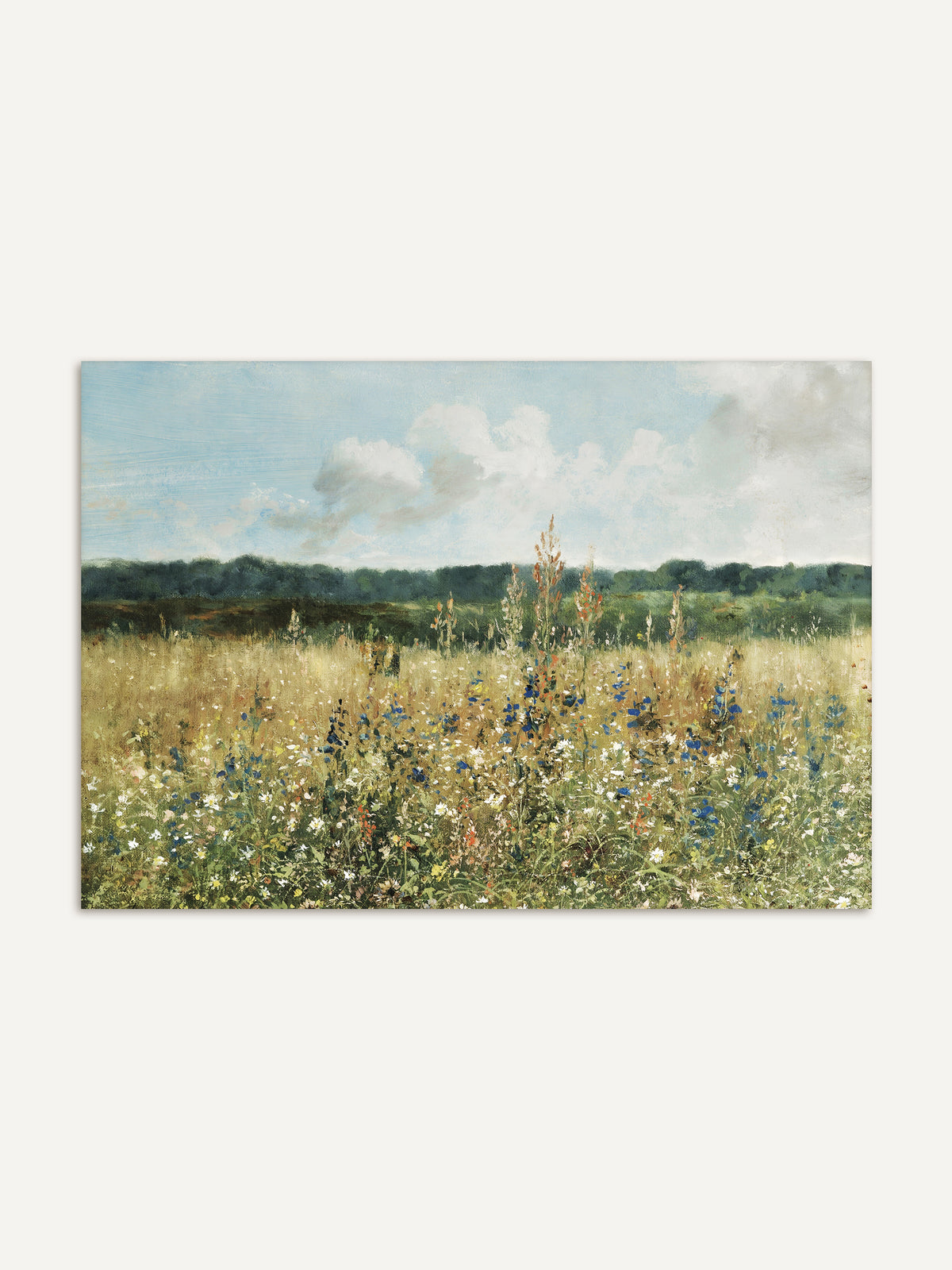 Kunstdruck einer Sommerwiese mit blauen, weißen und rostroten Wildblumen im hohen Gras vor einem dunkelgrünen Waldrand unter hellem Wolkenhimmel. Das Cottagecore Wandbild wirkt sommerlich, weit und natürlich. #Rahmen_Ohne Rahmen