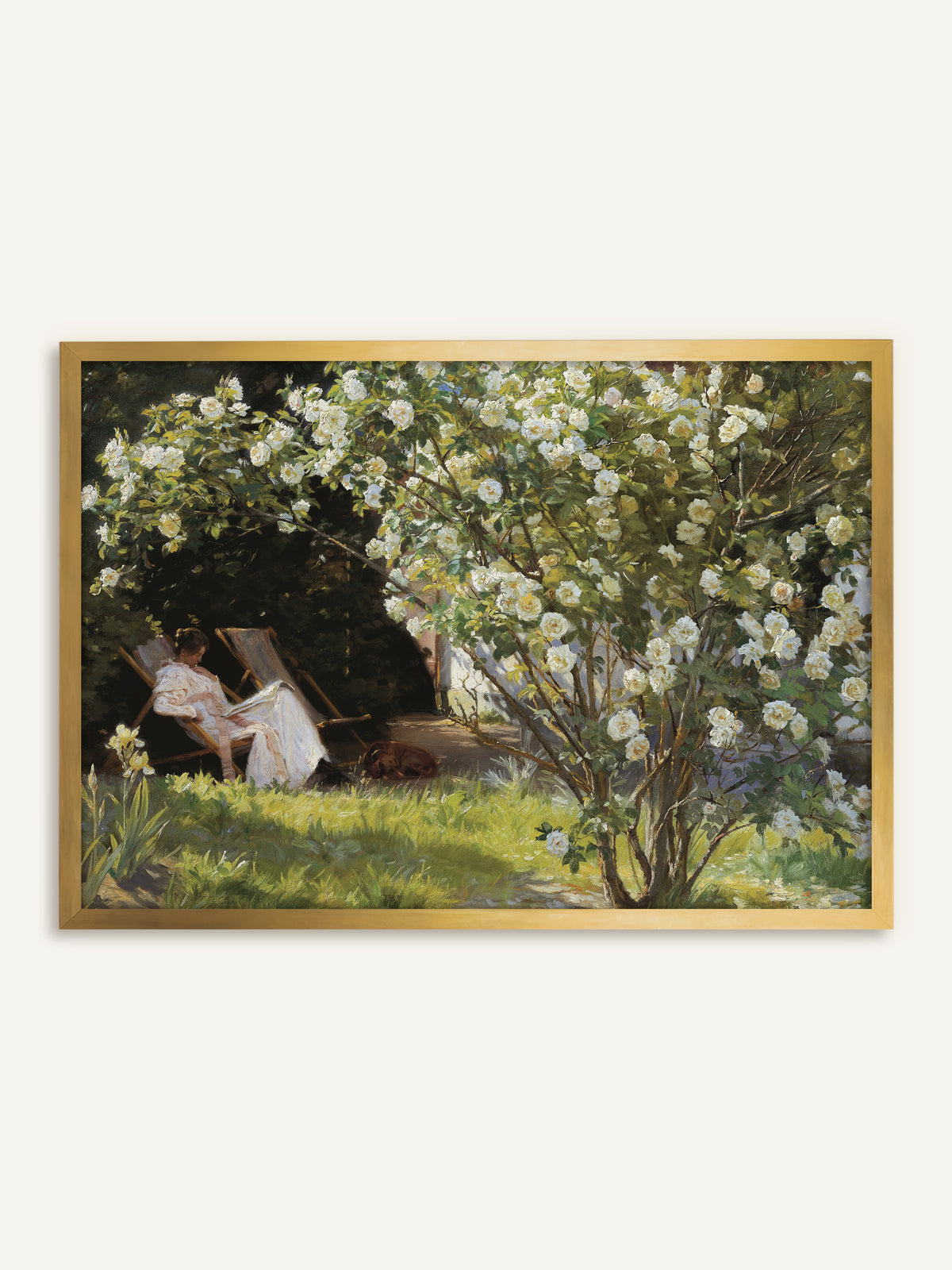 Wandbild, das eine Frau in einem weißen Kleid zeigt, die im Liegestuhl unter einem üppig blühenden Strauch weißer Rosen liest, während neben ihr ein brauner Hund im Gras schläft. Im goldenen Rahmen greift das Bild das warme Sonnenlicht auf und wirkt wie ein antikes Gemälde. #Rahmen_Gold