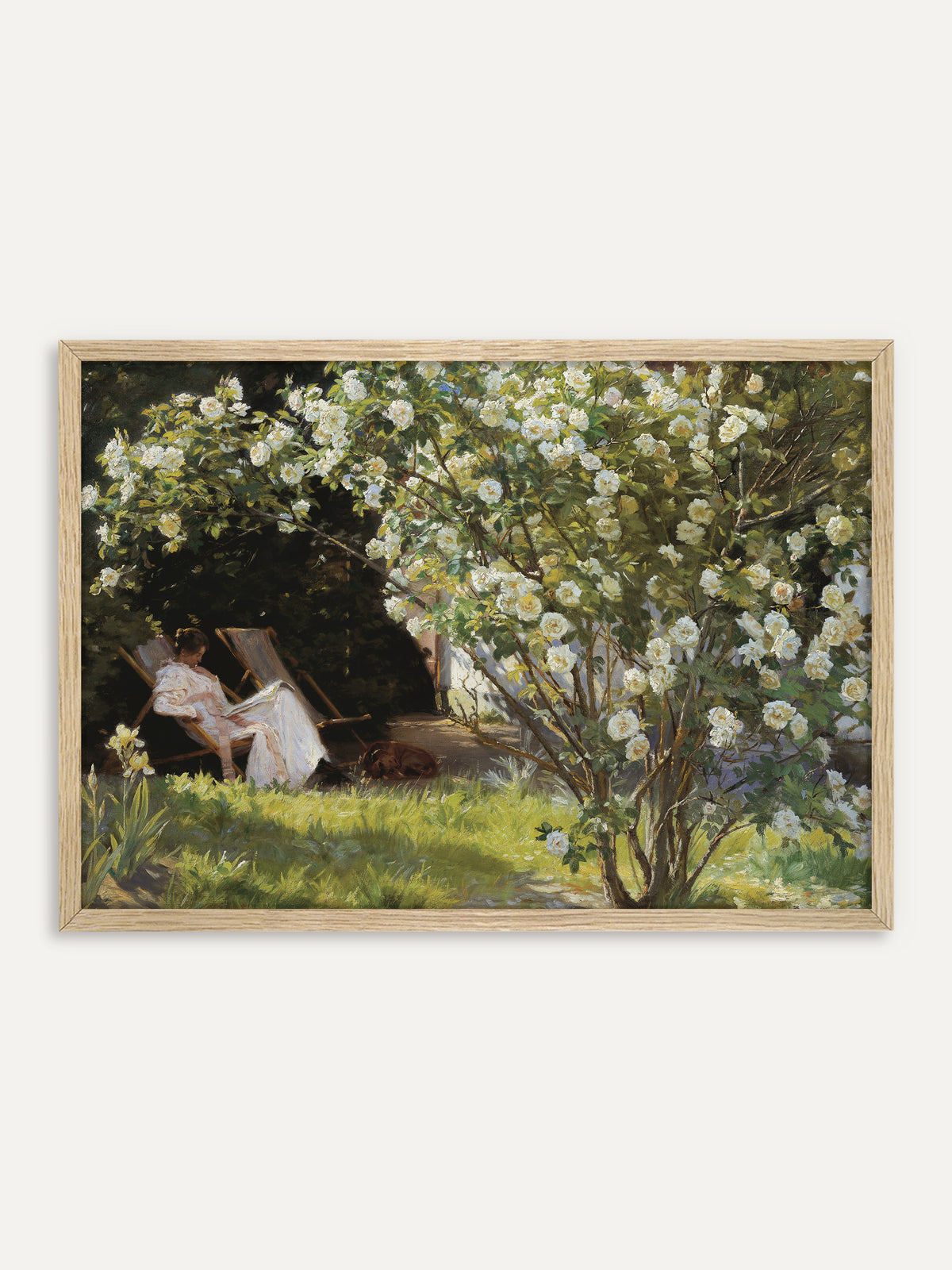 Kunstdruck, der eine Frau in einem weißen Kleid zeigt, die im Liegestuhl unter einem üppig blühenden Strauch weißer Rosen liest, während neben ihr ein brauner Hund im Gras schläft. Im Rahmen aus hellem Holz wirkt die Gartenszene sonnig und leicht wie ein Sommertag. #Rahmen_Helles Holz