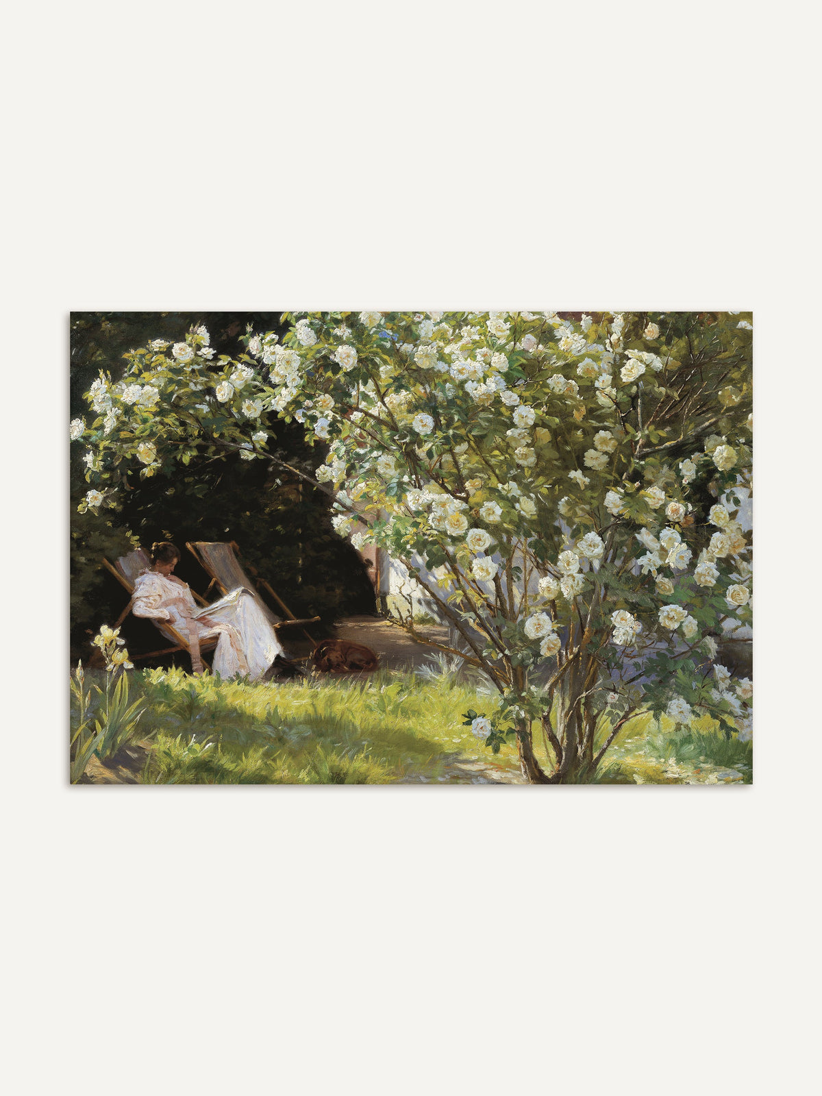 Romantischer Kunstdruck mit impressionistischer Gartenszene. Eine Frau im weißen Kleid sitzt entspannt unter einem üppig blühenden Rosenstrauch. Feine Lichtakzente und natürliche Grüntöne verleihen dem Vintage-Wandbild eine sanfte Eleganz. #Rahmen_Ohne Rahmen