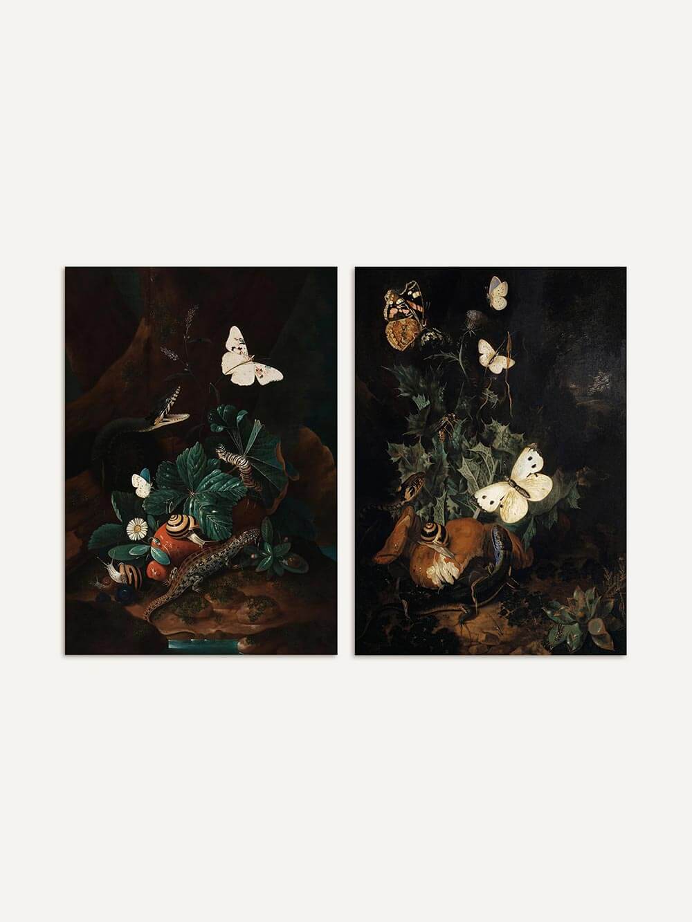 Zwei botanisch inspirierte Vintage-Kunstdrucke im Dark-Academia-Stil mit Faltern, Waldtieren und Pflanzen. Die barocken Stillleben sind nebeneinander freigestellt dargestellt.