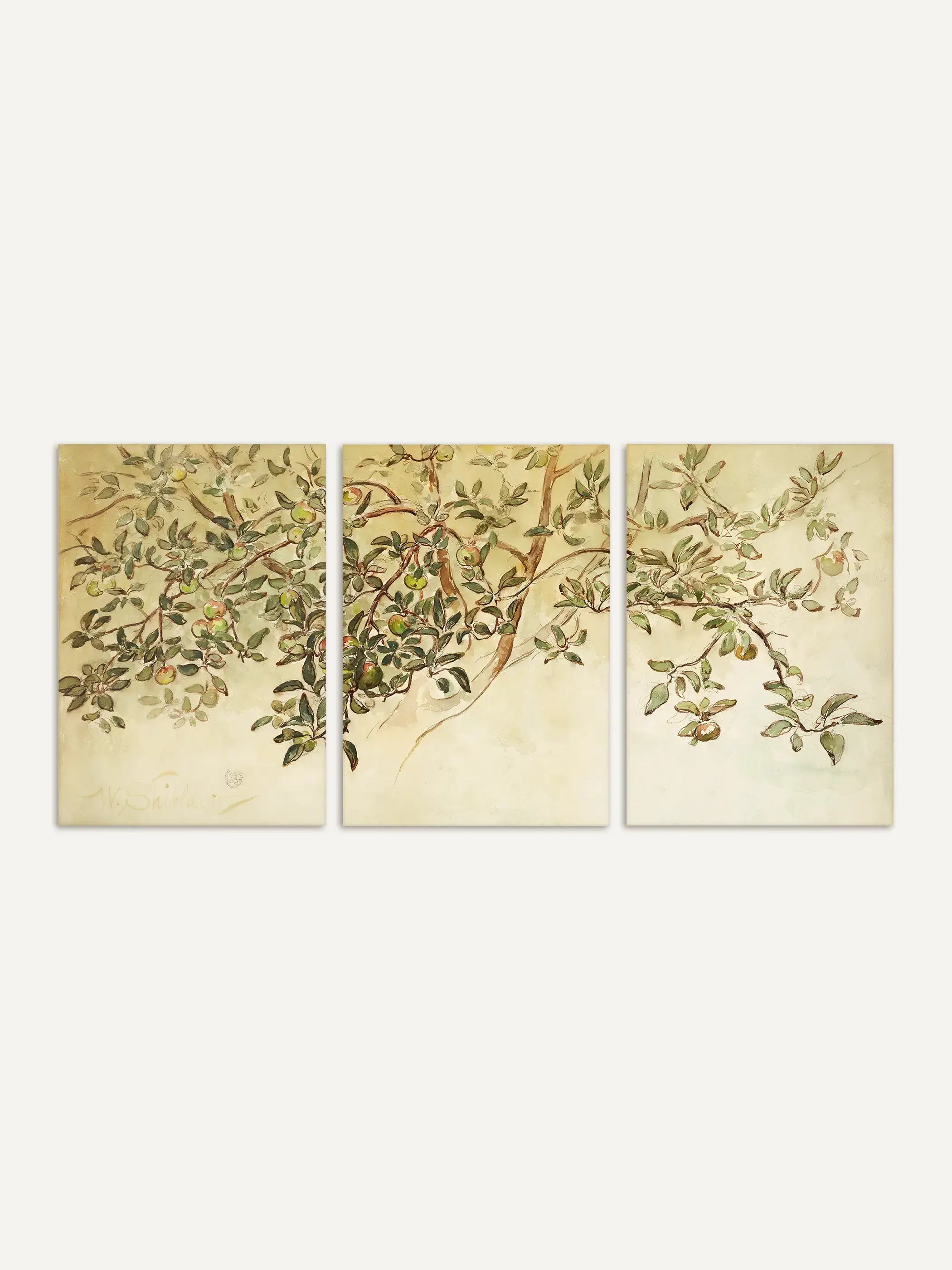 Das dreiteilige Wandbild zeigt filigrane Apfelzweige mit grünen und rötlichen Früchten auf hellem Hintergrund. Die botanischen Zeichnungen wirken zeitlos und eignen sich als Vintage Poster oder Natur Kunstdruck.