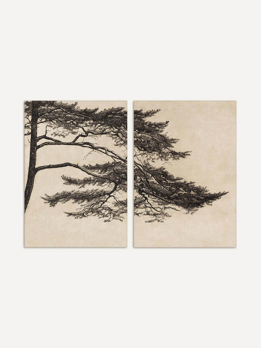 Zweiteiliges Kunstdruck-Set mit filigraner Darstellung eines Pinienbaums auf naturfarbenem Hintergrund. Die reduzierte Linienführung wirkt zeitlos und elegant.