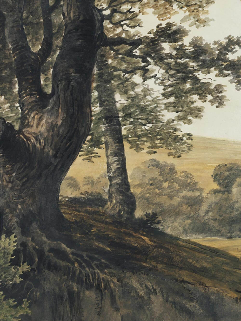 Detailansicht eines der Landschaftsmotive mit markanter Baumrinde, feiner Pinselstruktur und weichen Farbübergängen, die den malerischen Charakter des historischen Originals betonen und die hochwertige Anmutung des Kunstdrucks sichtbar machen.