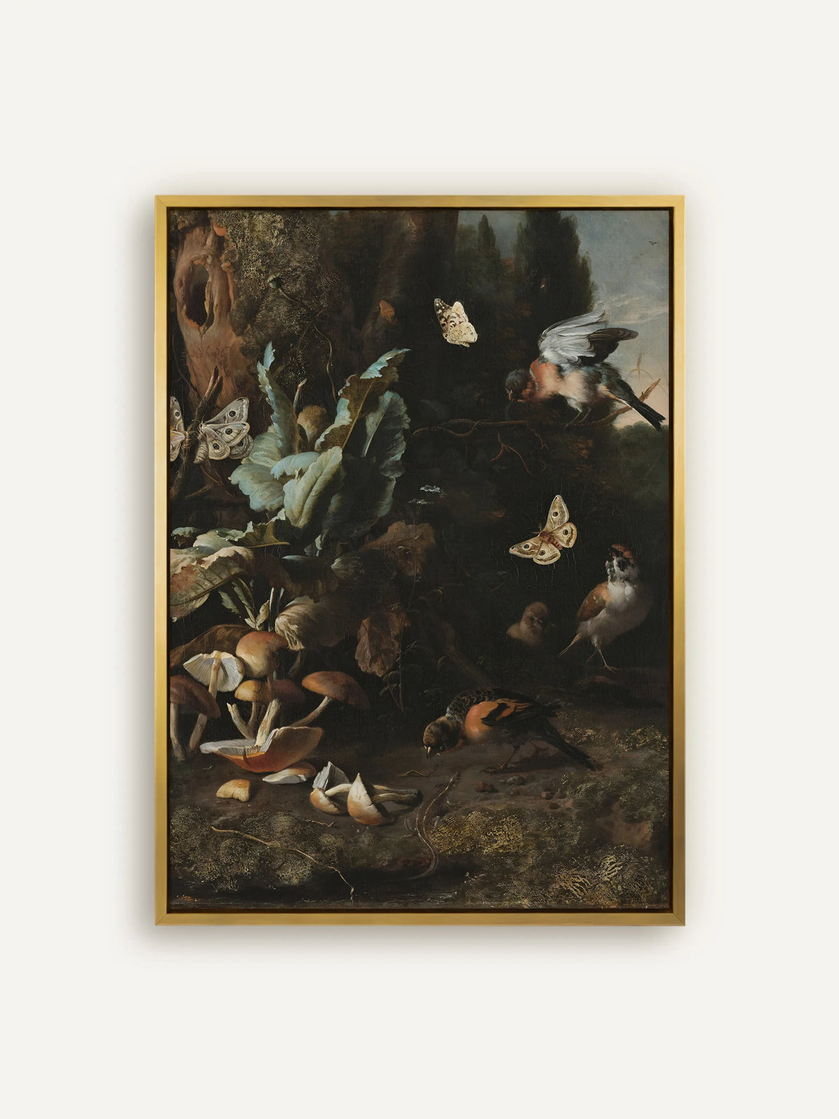 Dark Academia Leinwandbild nach Melchior d'Hondecoeter: Waldboden mit Pilzen, großen Blättern, Nachtfaltern, Schmetterling, Gimpel und Spatzen vor dunklem Grund, im goldenen Schattenfugenrahmen aus Holz #Rahmen_Gold