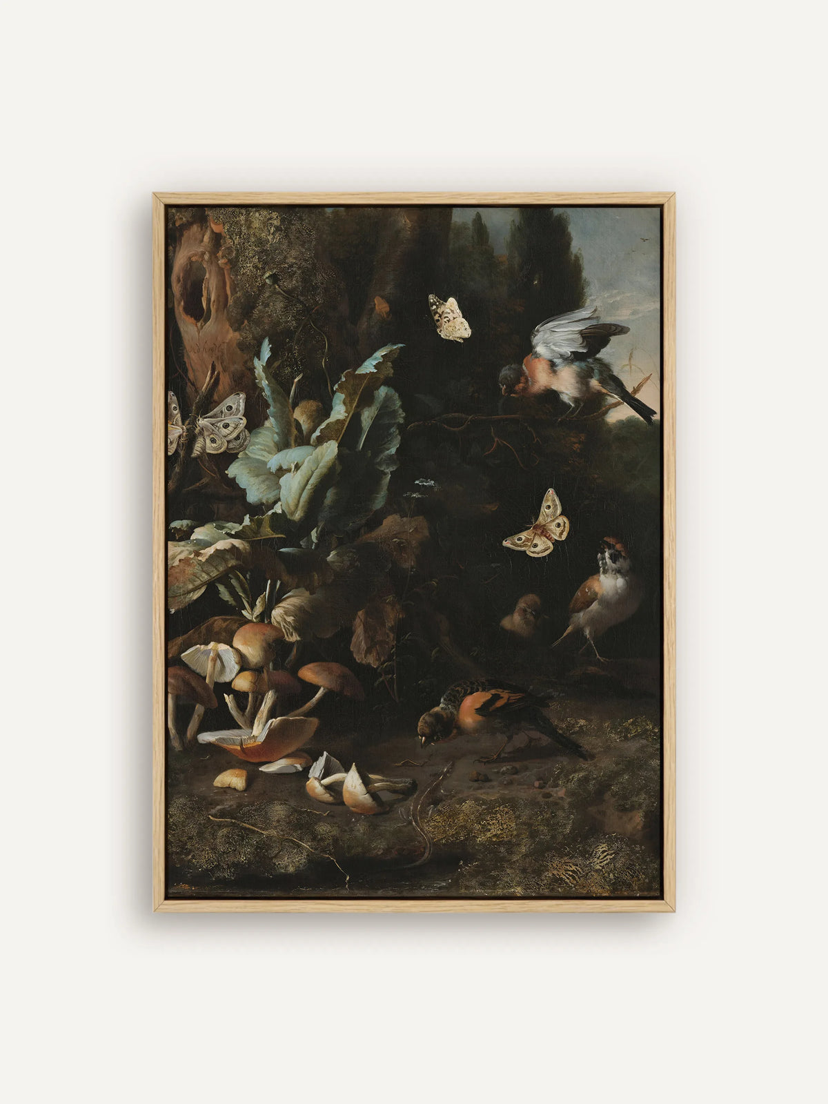 Dark Academia Leinwandbild nach Melchior d'Hondecoeter: Waldboden mit Pilzen, großen Blättern, Nachtfaltern, Schmetterling, Gimpel und Spatzen vor dunklem Grund, im naturfarbenen Schattenfugenrahmen aus Holz #Rahmen_Natur