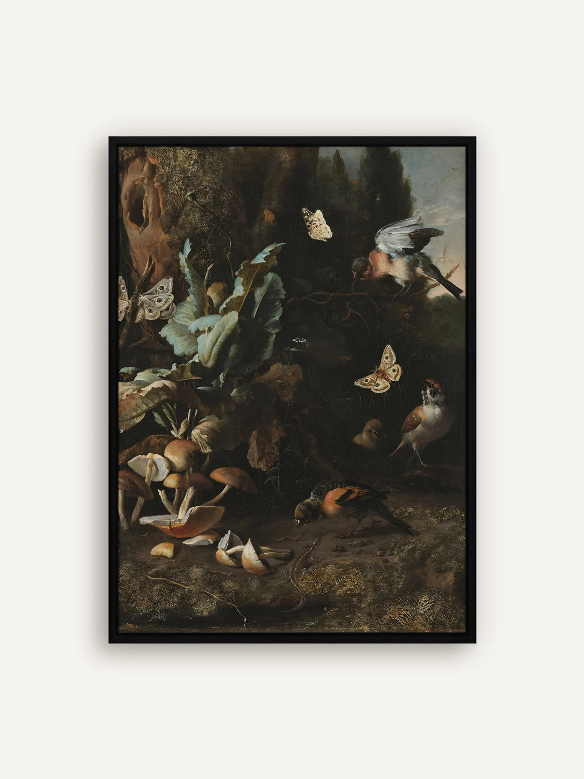 Dark Academia Leinwandbild nach Melchior d'Hondecoeter: Waldboden mit Pilzen, großen Blättern, Nachtfaltern, Schmetterling, Gimpel und Spatzen vor dunklem Grund, im schwarzen Schattenfugenrahmen aus Holz #Rahmen_Schwarz