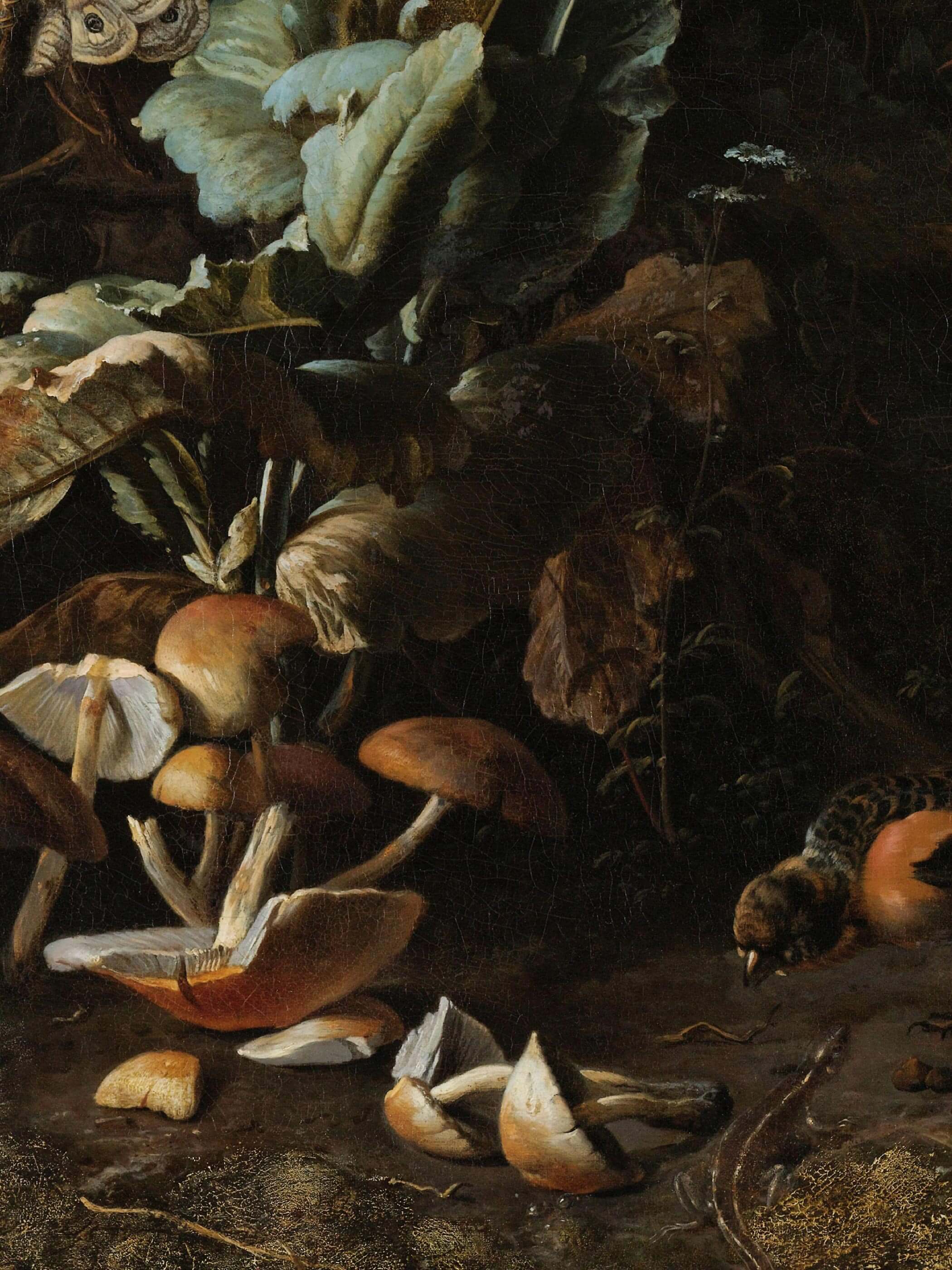 Nahaufnahme eines barocken Stillleben Posters mit Pilzen und Laub in einer dunklen, natürlichen Umgebung. Die detaillierte Darstellung der Natur bringt die feinen Texturen der Pilze und Blätter zum Vorschein.