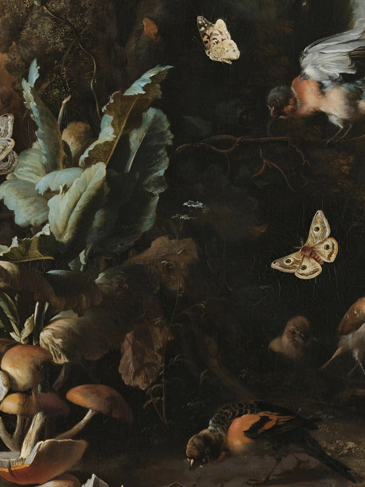 Detail des Leinwandbilds nach d'Hondecoeter: Nachtfalter mit Augenflecken, blaugrüne Blätter, Pilze und ein Gimpel auf dem Waldboden