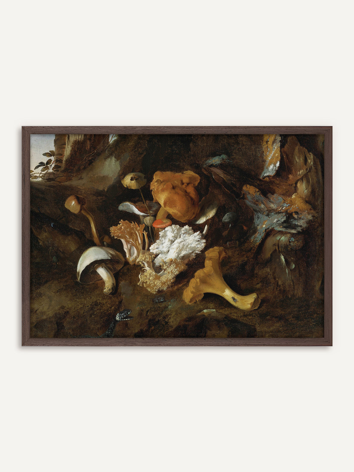 Poster, das Pfifferling, Korallenpilze und andere Waldpilze auf moosigem Waldboden vor einem alten Baumstumpf zeigt, am unteren Rand mit einer kleinen Schlange. Der Rahmen aus dunklem Holz betont die moody Erdtöne des Motivs. #Rahmen_Dunkles Holz