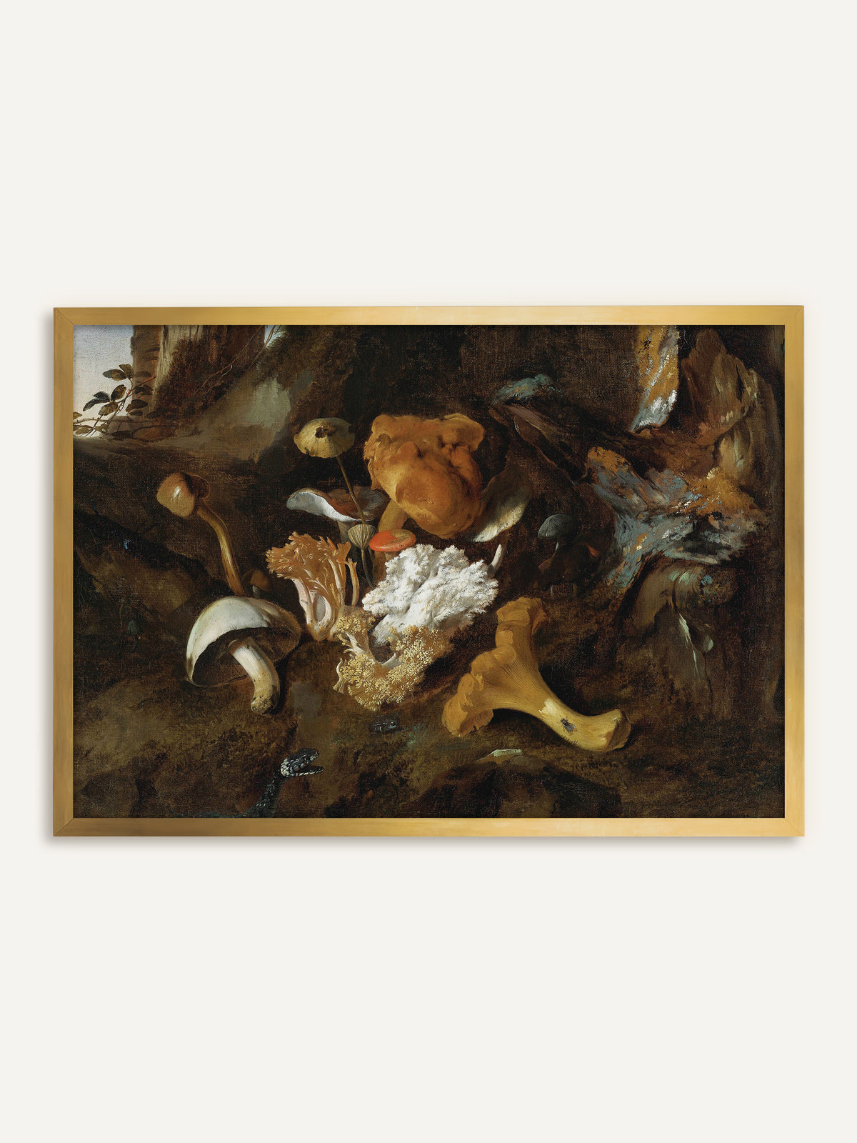 Wandbild, das Pfifferling, Korallenpilze und andere Waldpilze auf moosigem Waldboden vor einem alten Baumstumpf zeigt, am unteren Rand mit einer kleinen Schlange. Im goldenen Rahmen wirkt das Pilzbild wie ein antikes Gemälde aus einem Kuriositätenkabinett. #Rahmen_Gold