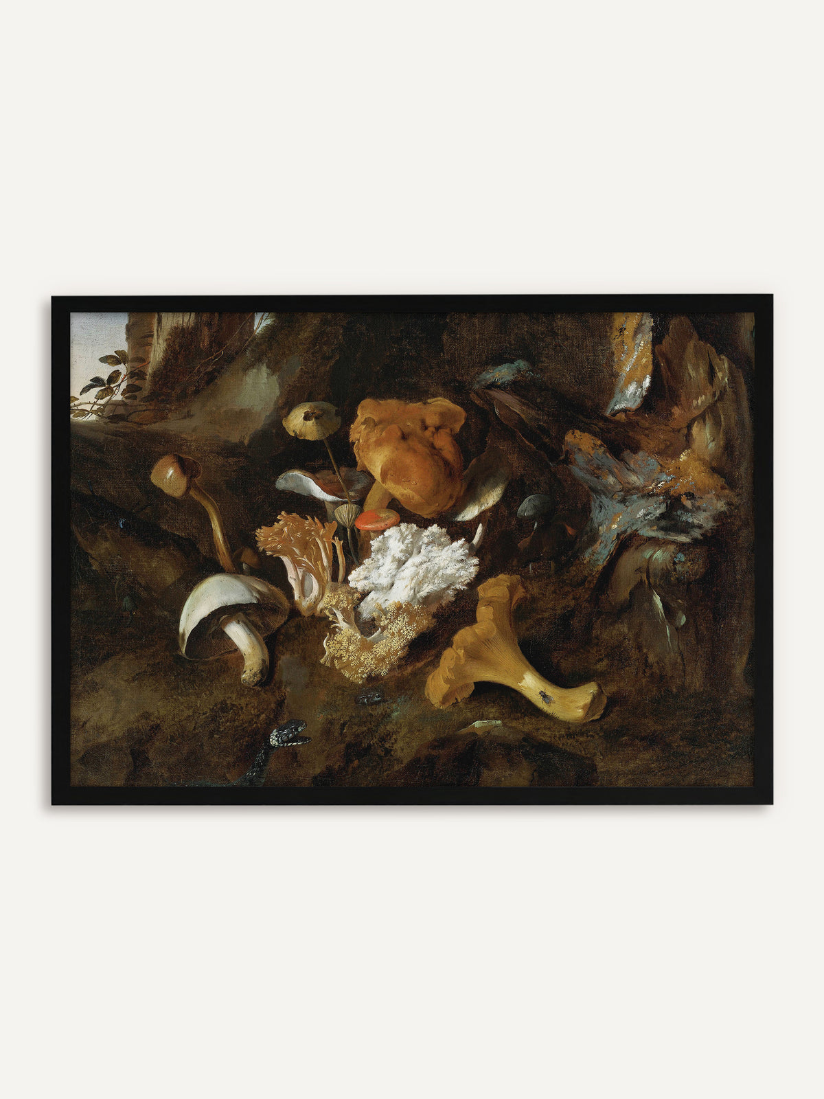 Gerahmtes Poster, das Pfifferling, Korallenpilze und andere Waldpilze auf moosigem Waldboden vor einem alten Baumstumpf zeigt, am unteren Rand mit einer kleinen Schlange. Mit schwarzem Rahmen wird das Dark-Academia-Motiv klar und elegant. #Rahmen_Schwarz