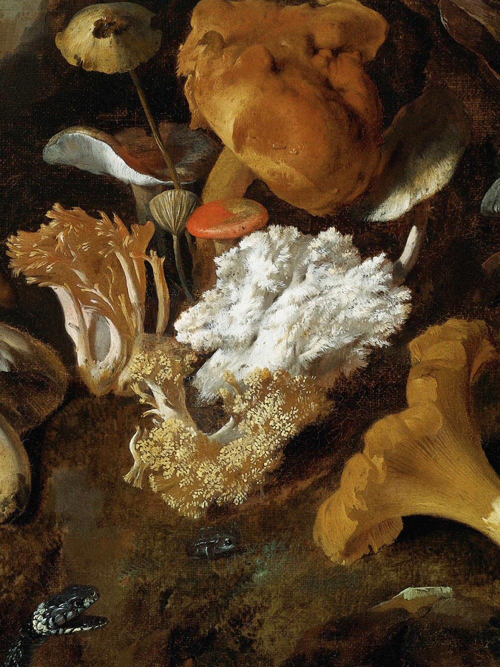 Nahaufnahme eines barocken Stilllebens mit detaillierten Darstellungen von Waldpilzen in verschiedenen Formen und Farben, realistisch gemalt auf einem dunklen Hintergrund.