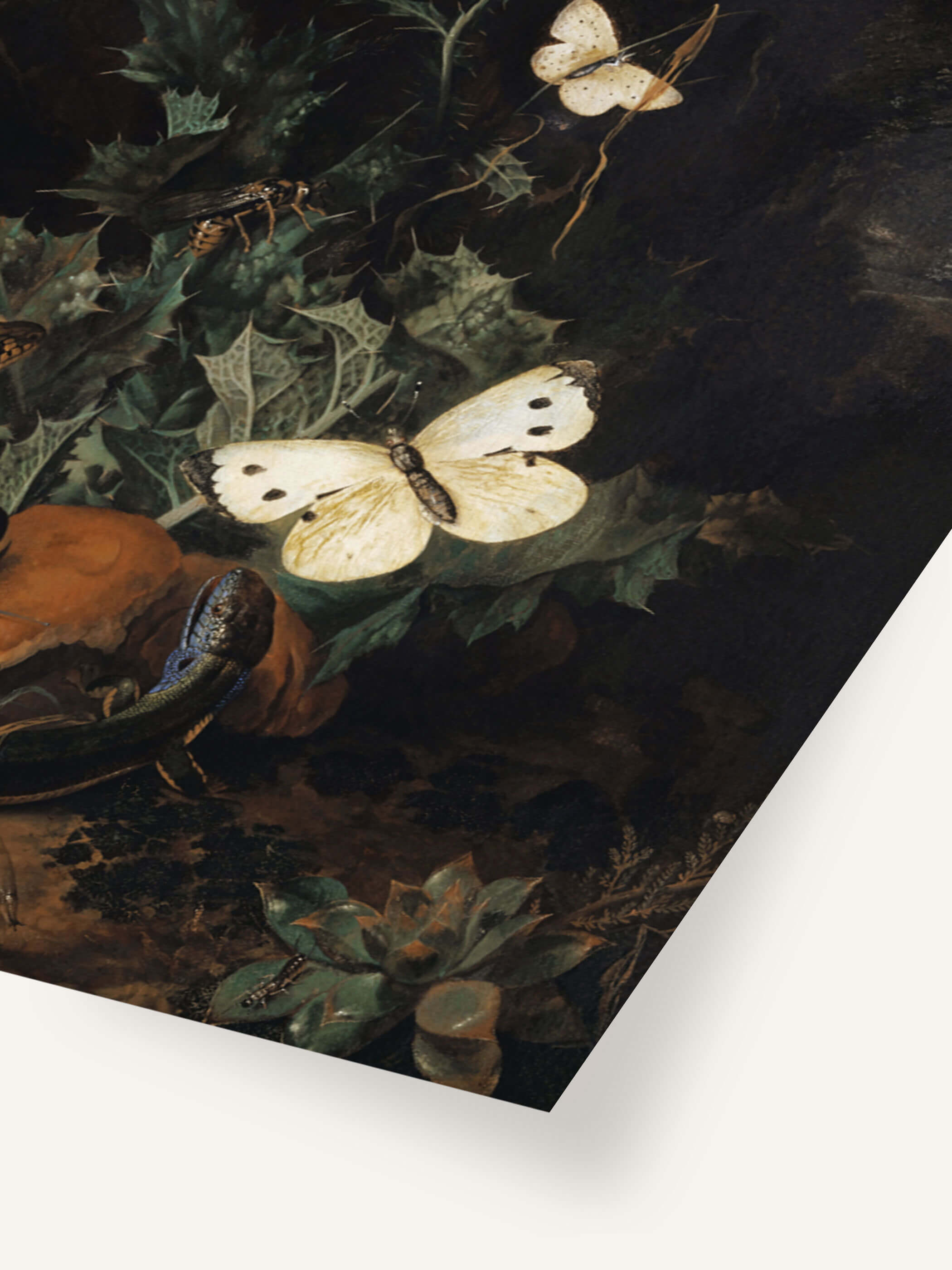 Detailaufnahme eines barocken Stilllebens mit Schmetterlingen, Eidechsen und Pflanzen auf dunklem, moosigem Waldboden. Ideal für Natur- und Kunstliebhaber, die dramatische und stimmungsvolle Wandkunst bevorzugen.