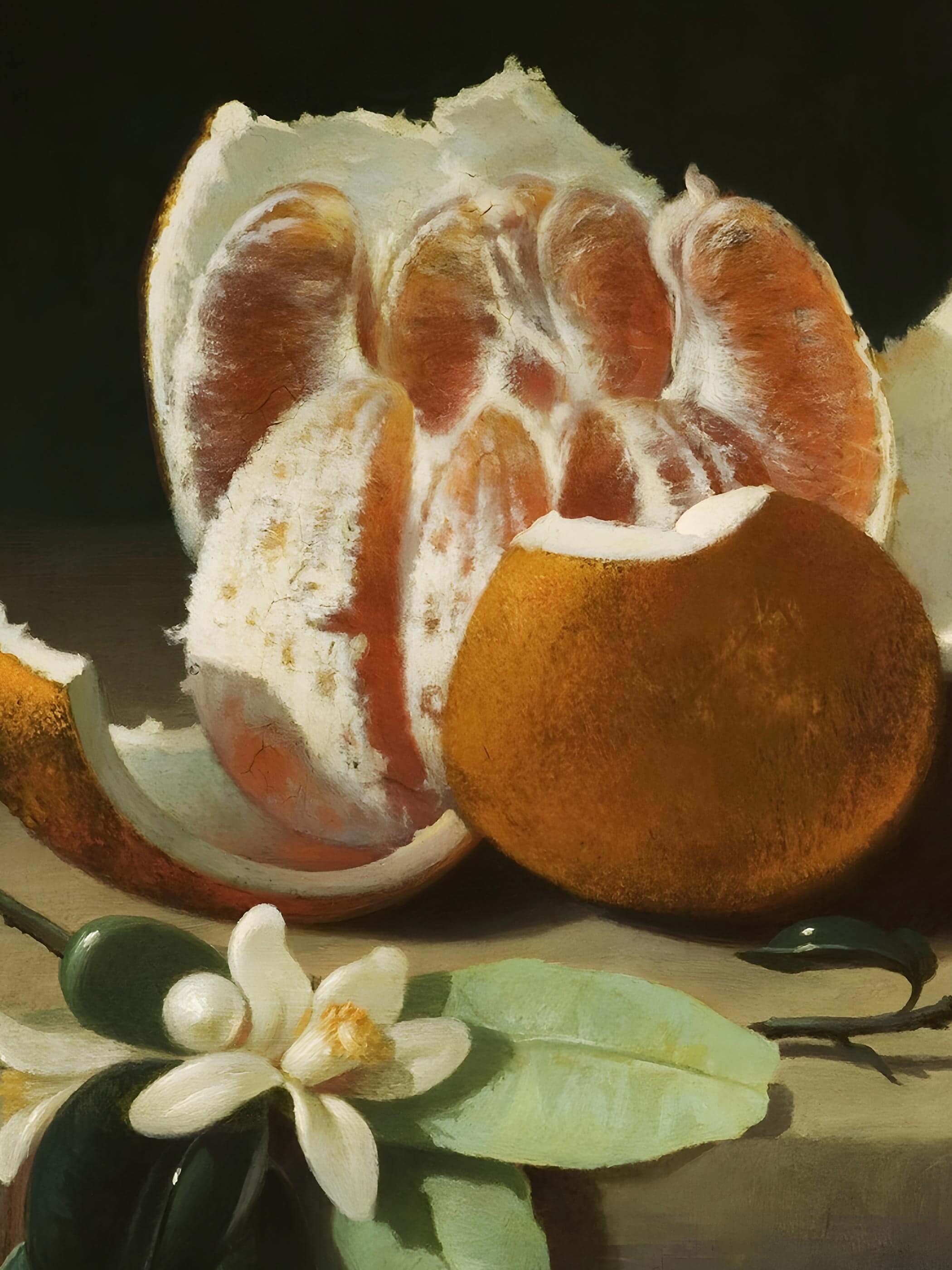 Nahaufnahme der geschälten Orange mit sichtbaren Fruchtfleisch-Segmenten und der abstehenden Schale. Die feine Lichtführung und die realistische Maltextur zeigen die Qualität dieses barocken Stillleben Kunstdrucks im Detail.