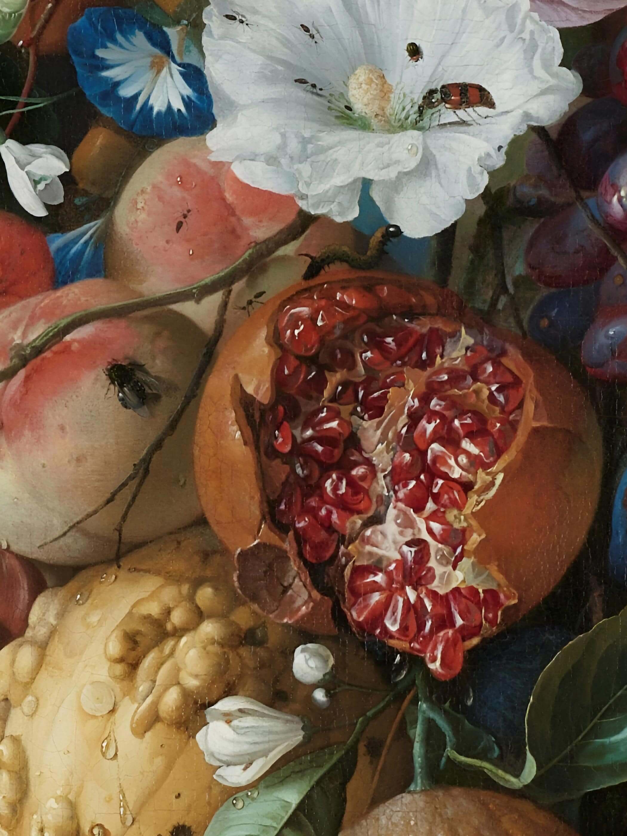 Nahaufnahme des aufgebrochenen Granatapfels mit glänzenden Kernen, umgeben von Pfirsich, weißer Blüte und einer Raupe. Die feine Maltechnik und die naturgetreue Darstellung von Tautropfen und Insekten zeigen die Qualität dieses Barock Kunstdrucks im Detail.